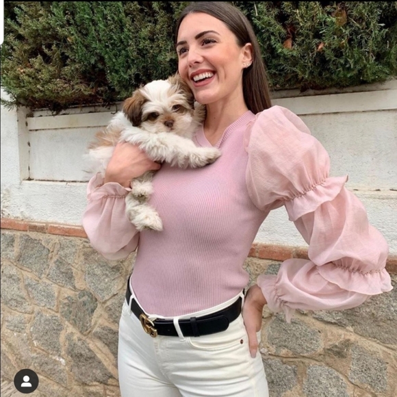 Zara Organza knit top - Picture 8 of 14